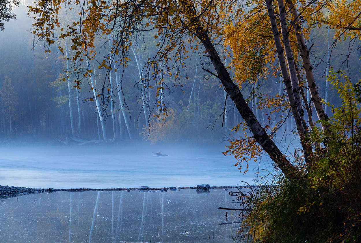 �ӱ߳���  ����ΰ 15299089398.jpg