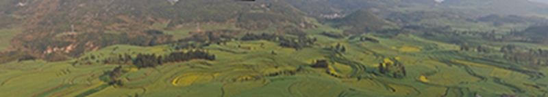 DSC_5960 Panorama.jpg