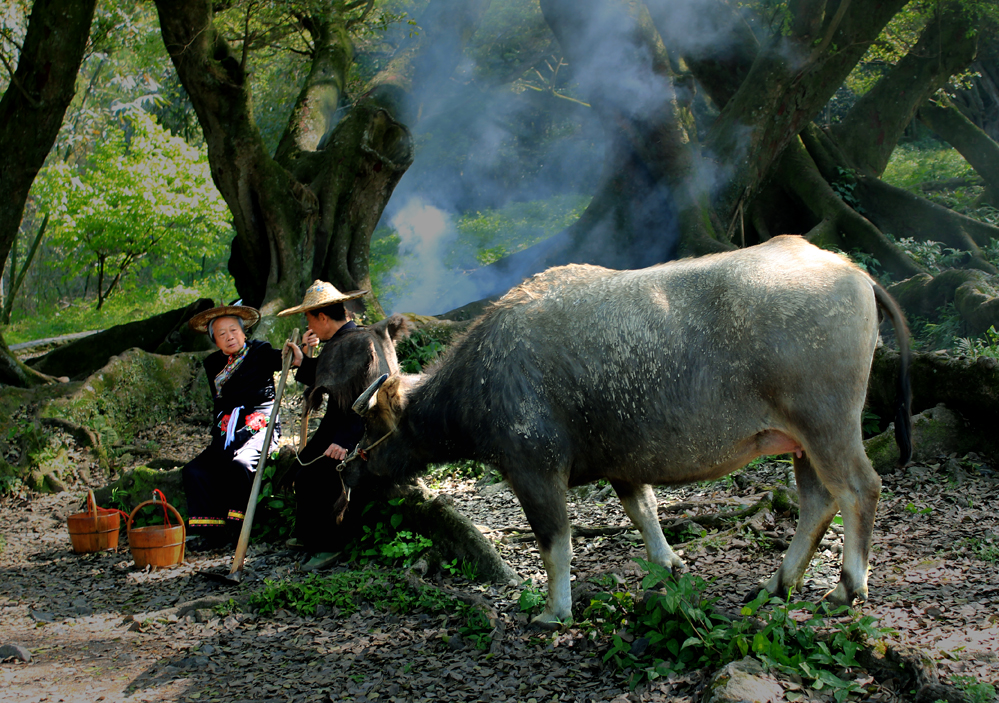 ������θ��� 219.jpg