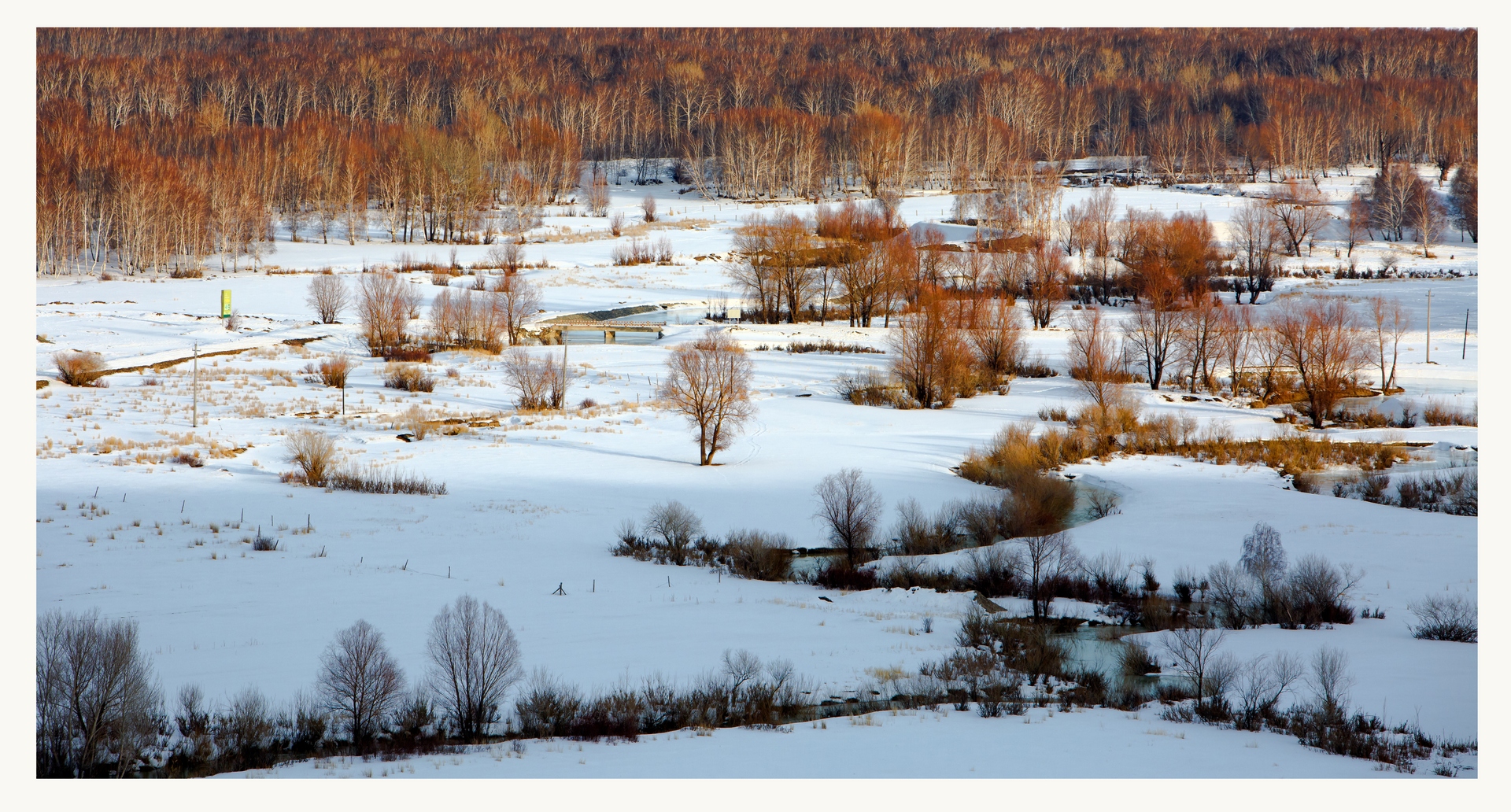 3��20����·�����ģ��ڵ����Ǵ�ů�������������ľ�ոе�������Ϣ֦�����