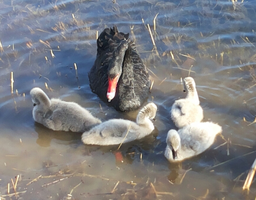 2015-01-11 14.47.05.jpg