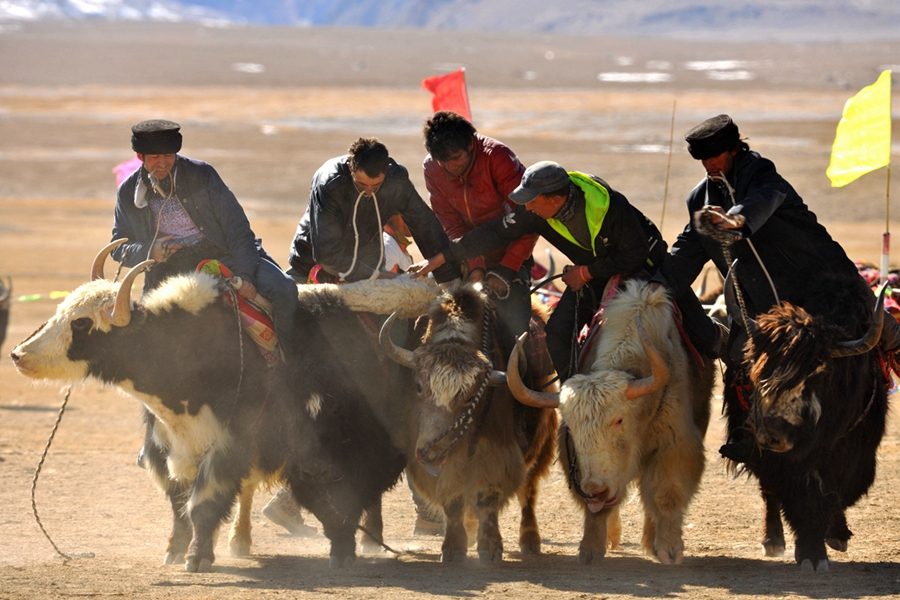 ���� ������.jpg