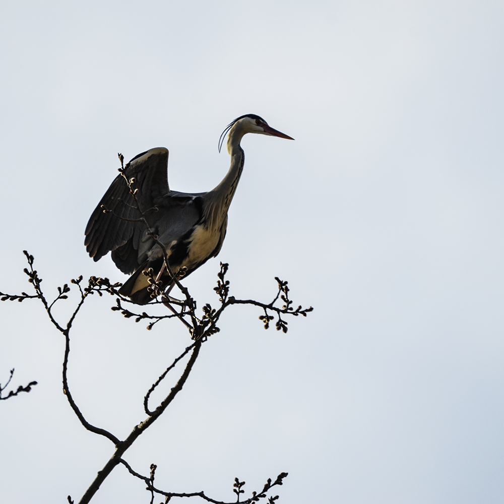 2015��3��16��ˮĥͷ�� a1891.jpg