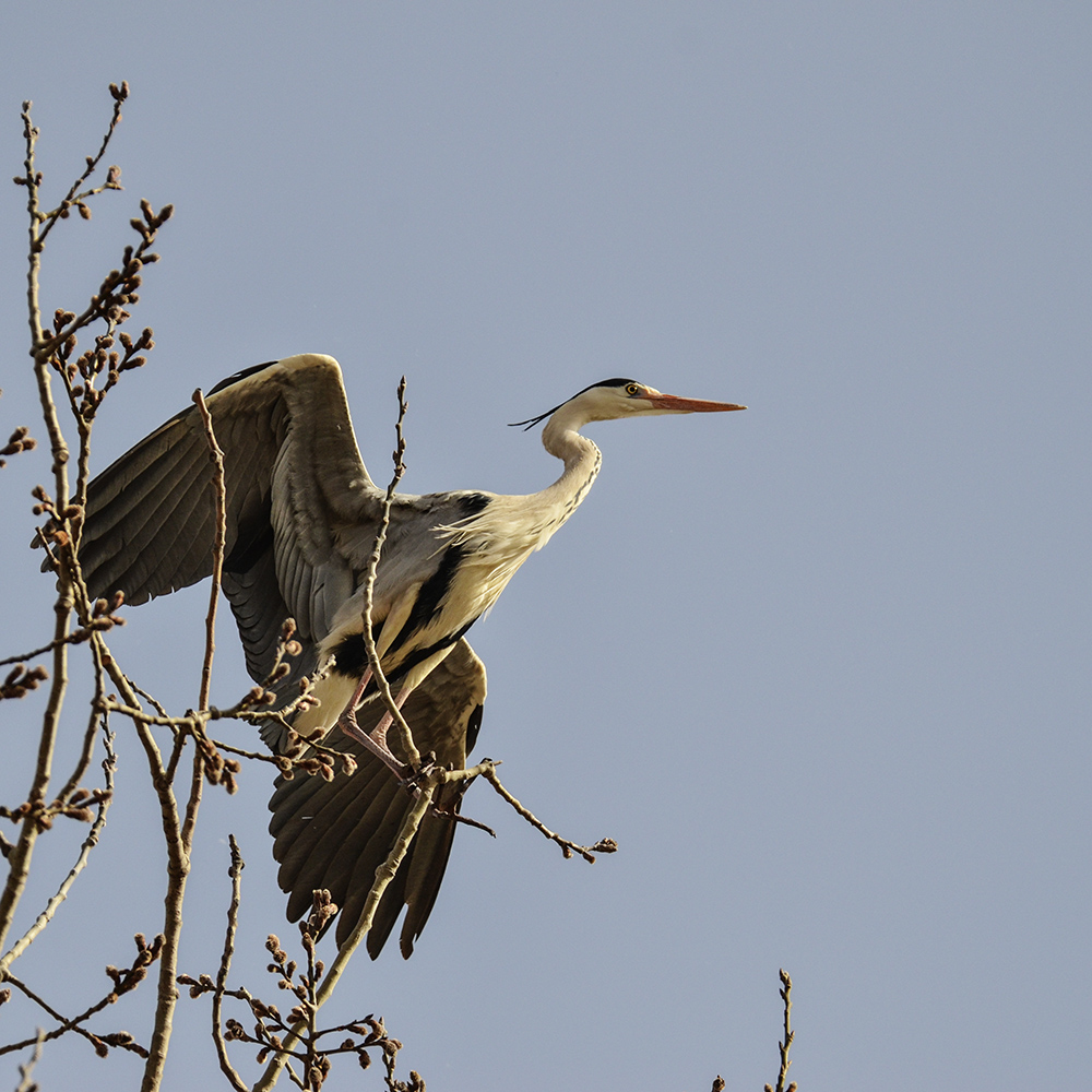 2015��3��16��ˮĥͷ�� a7371.jpg