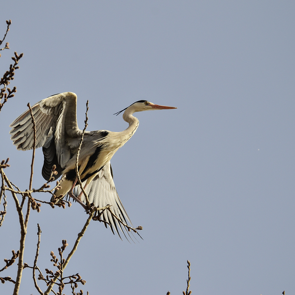 2015��3��16��ˮĥͷ�� a7381.jpg