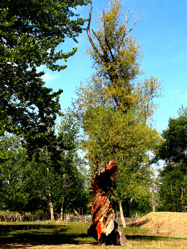 �� �Ʋ��� (1).jpg