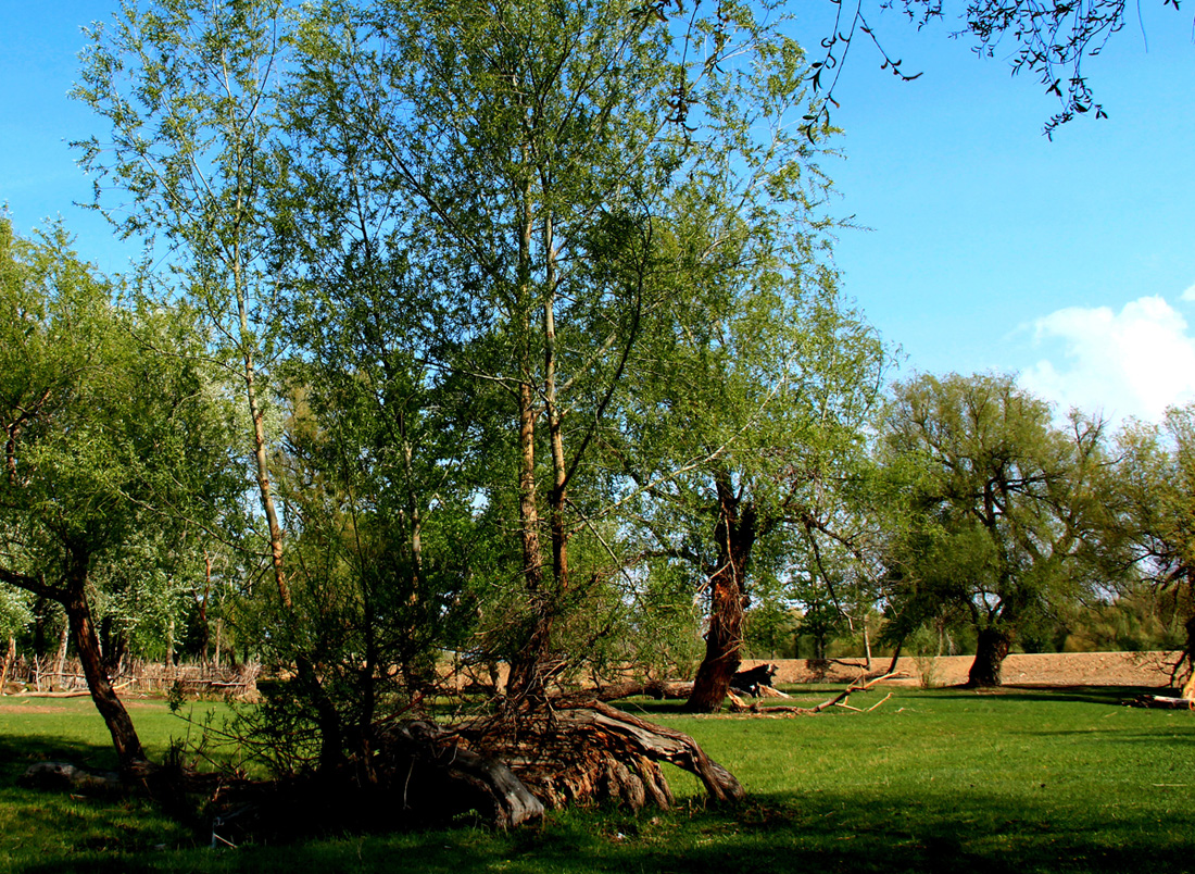 �� �Ʋ��� (2).jpg