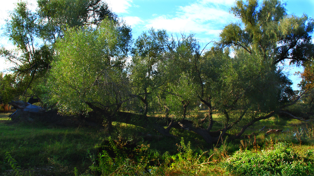 �� �Ʋ��� (3).jpg