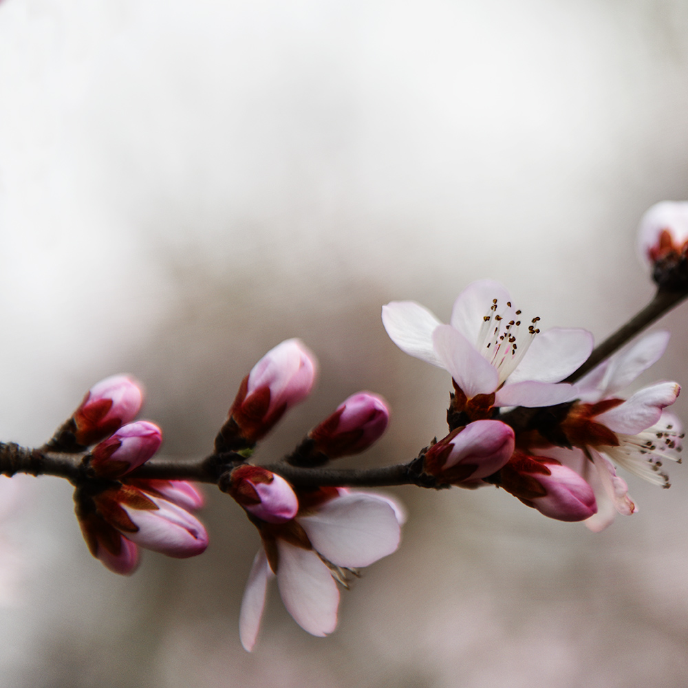 2015��3��17���һ�a 0161.jpg