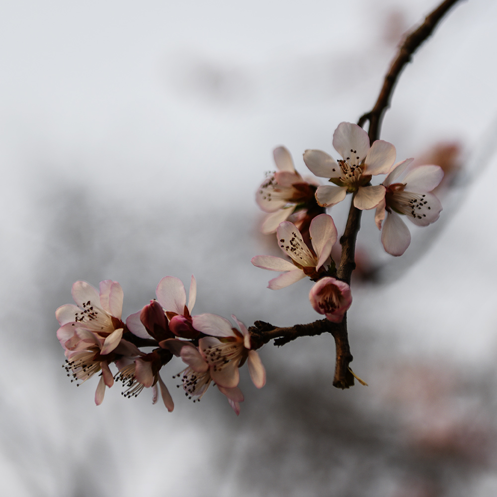 2015��3��17���һ� a0031.jpg