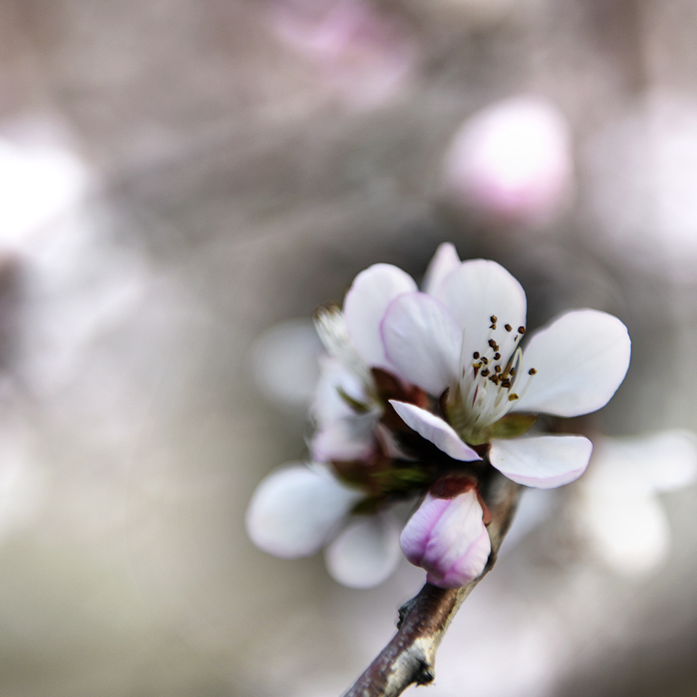 2015��3��17���һ� a0051.jpg