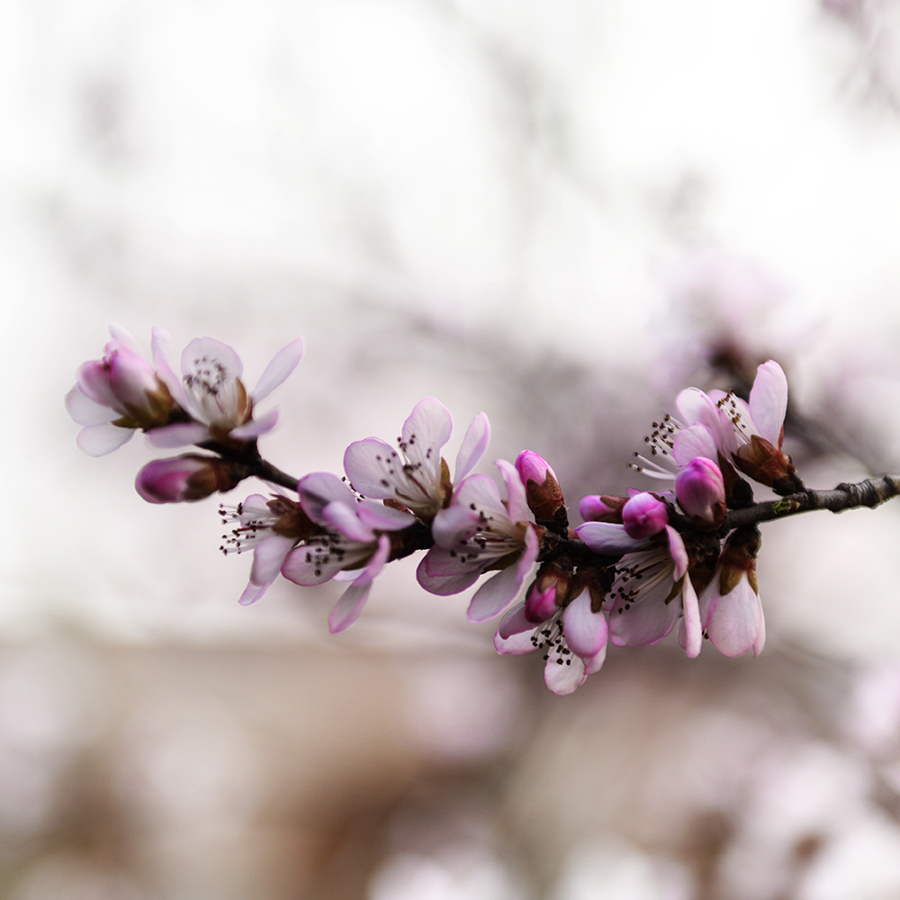 2015��3��17���һ� a0061.jpg