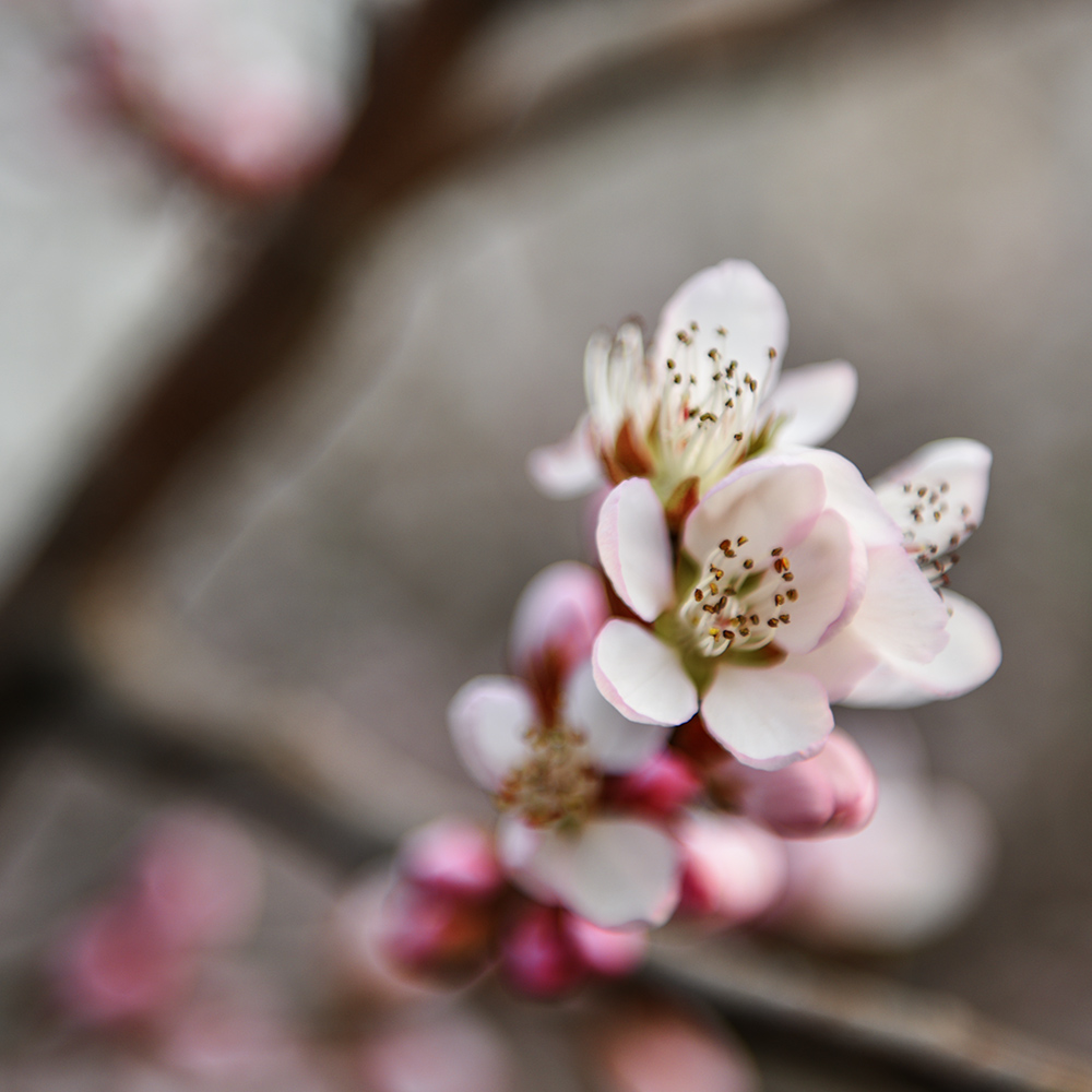 2015��3��17���һ� a0041.jpg