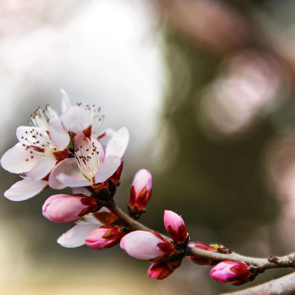 2015��3��17���һ� a0101.jpg