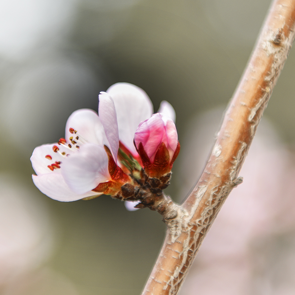 2015��3��17���һ� a0111.jpg