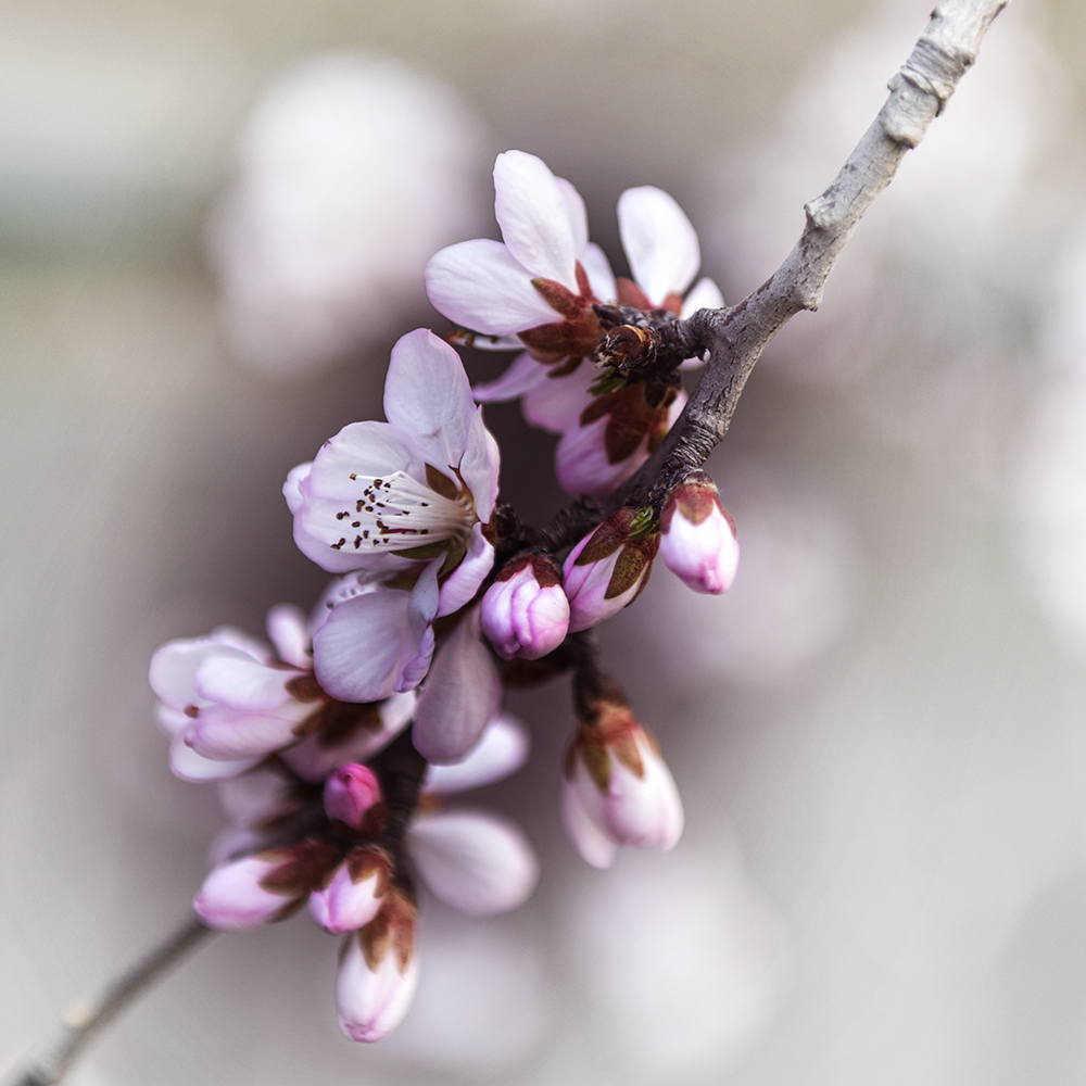 2015��3��17���һ� a0151.jpg