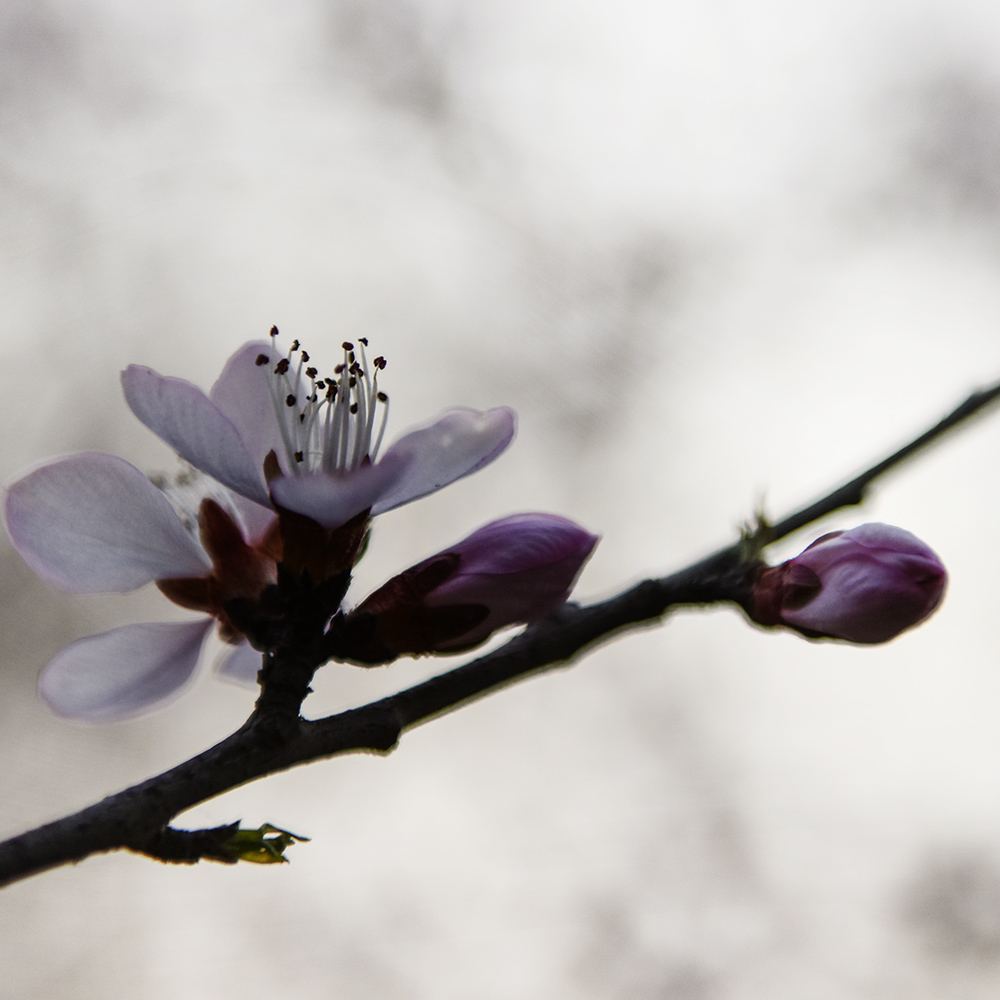 2015��3��17���һ� a0181.jpg