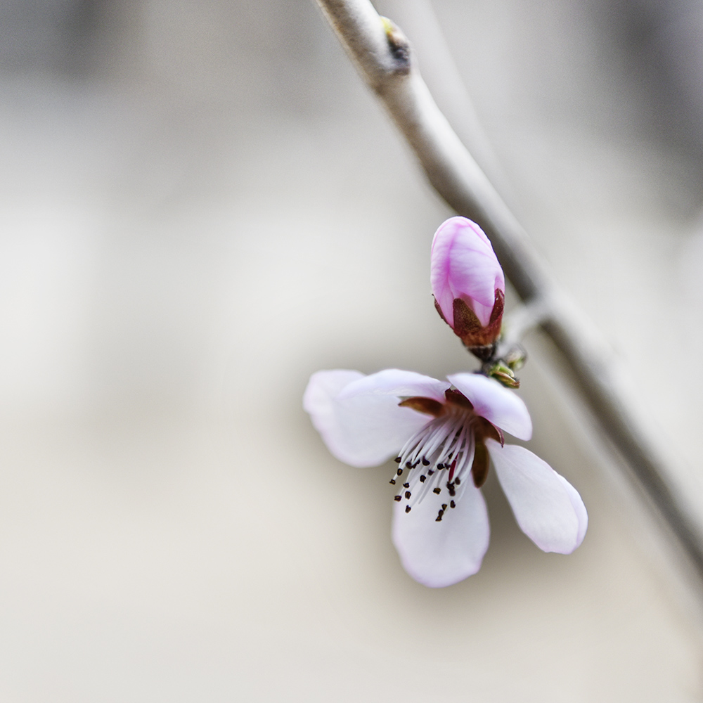 2015��3��17���һ� a0191.jpg