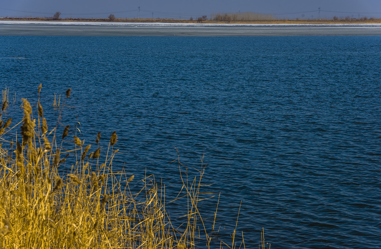 �������ڵı���