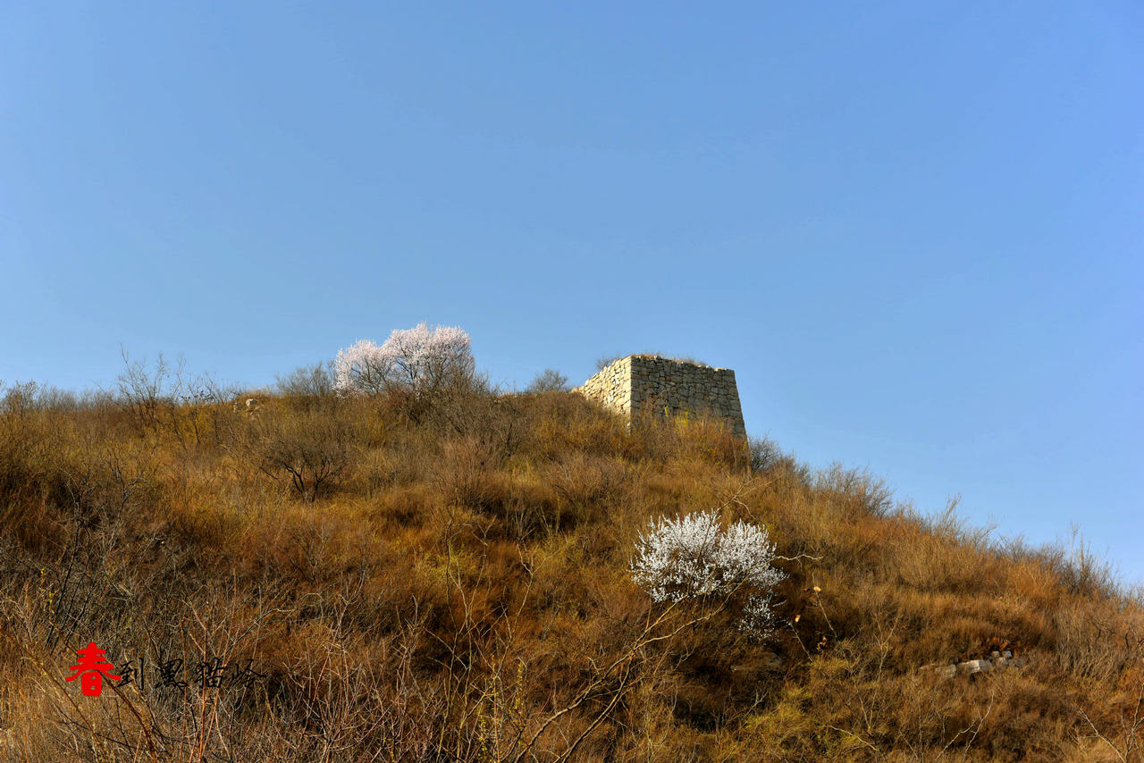 DSC_2413_����.JPG