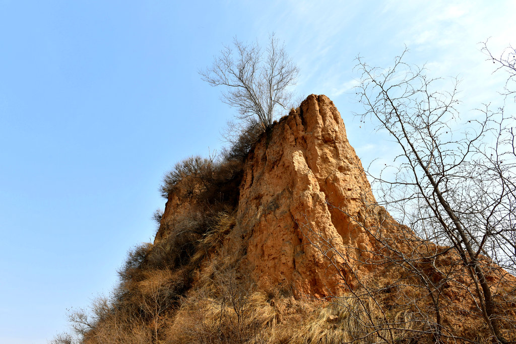 DSC_2223_����.jpg