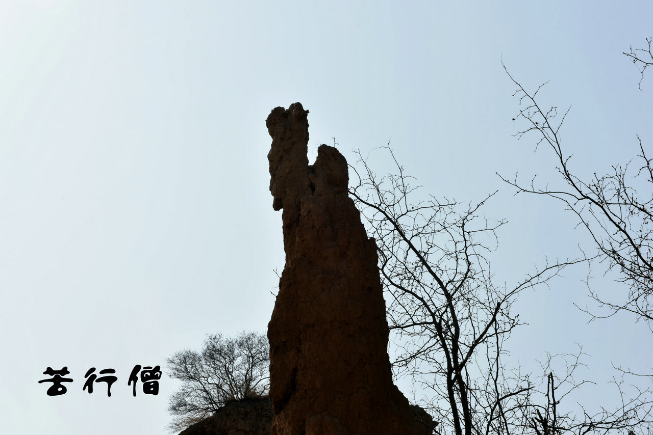 DSC_2206_����.jpg