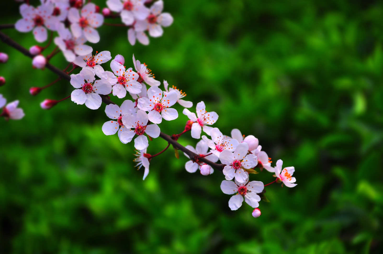 20150328��Ӱ (7).jpg