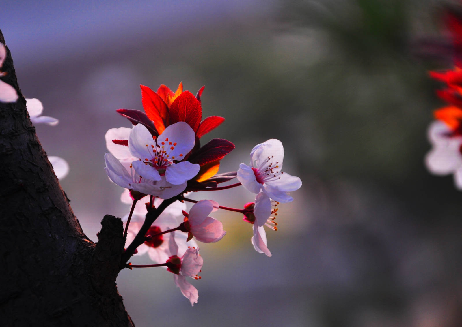 20150328��Ӱ (135).jpg