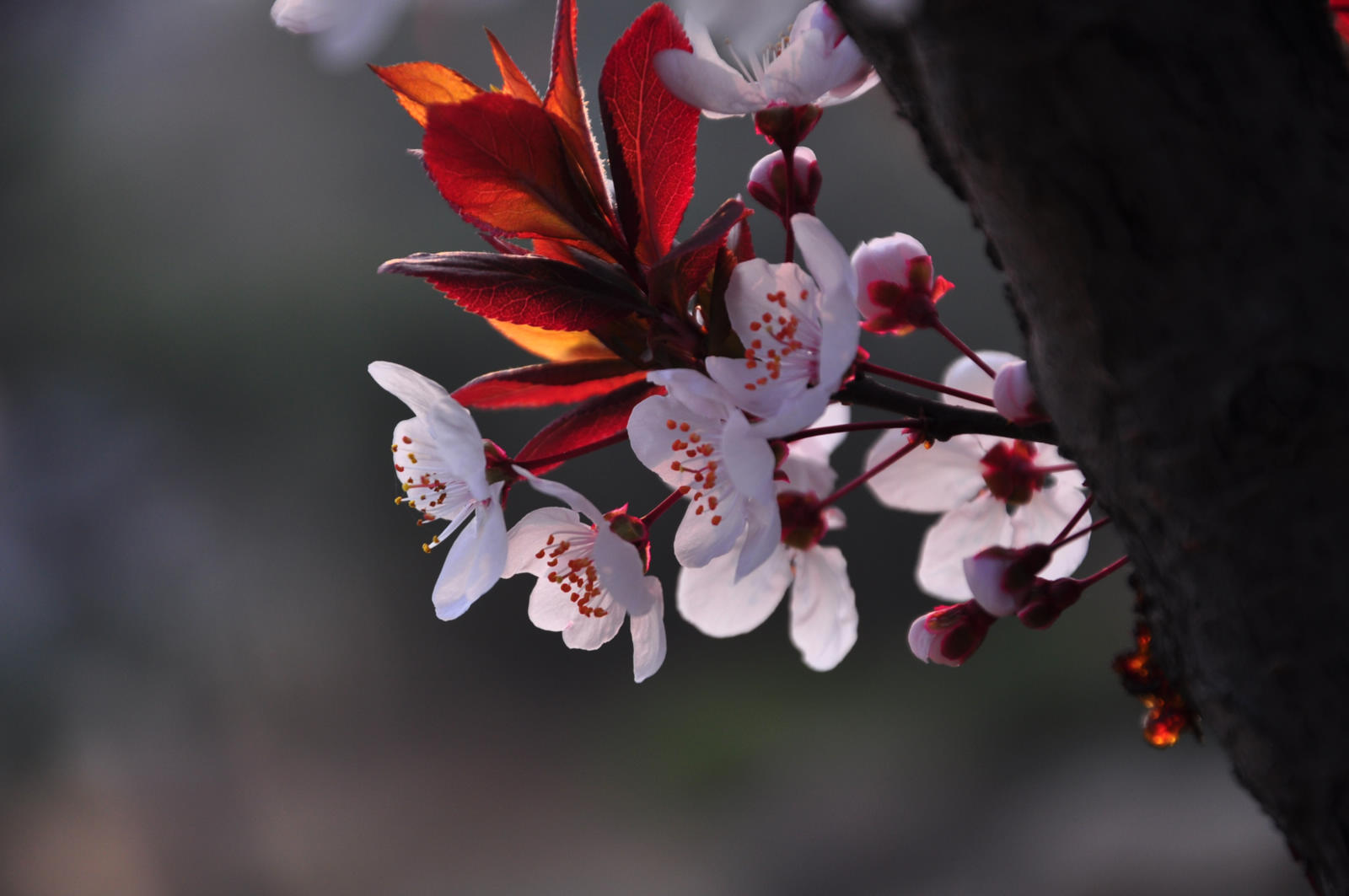 20150328��Ӱ (136).jpg