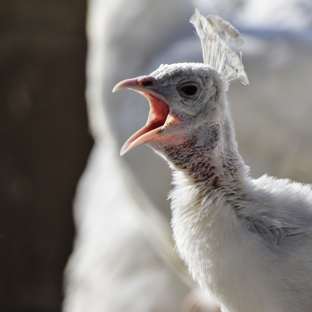 2015��2��23��̫ԭa 0591.jpg