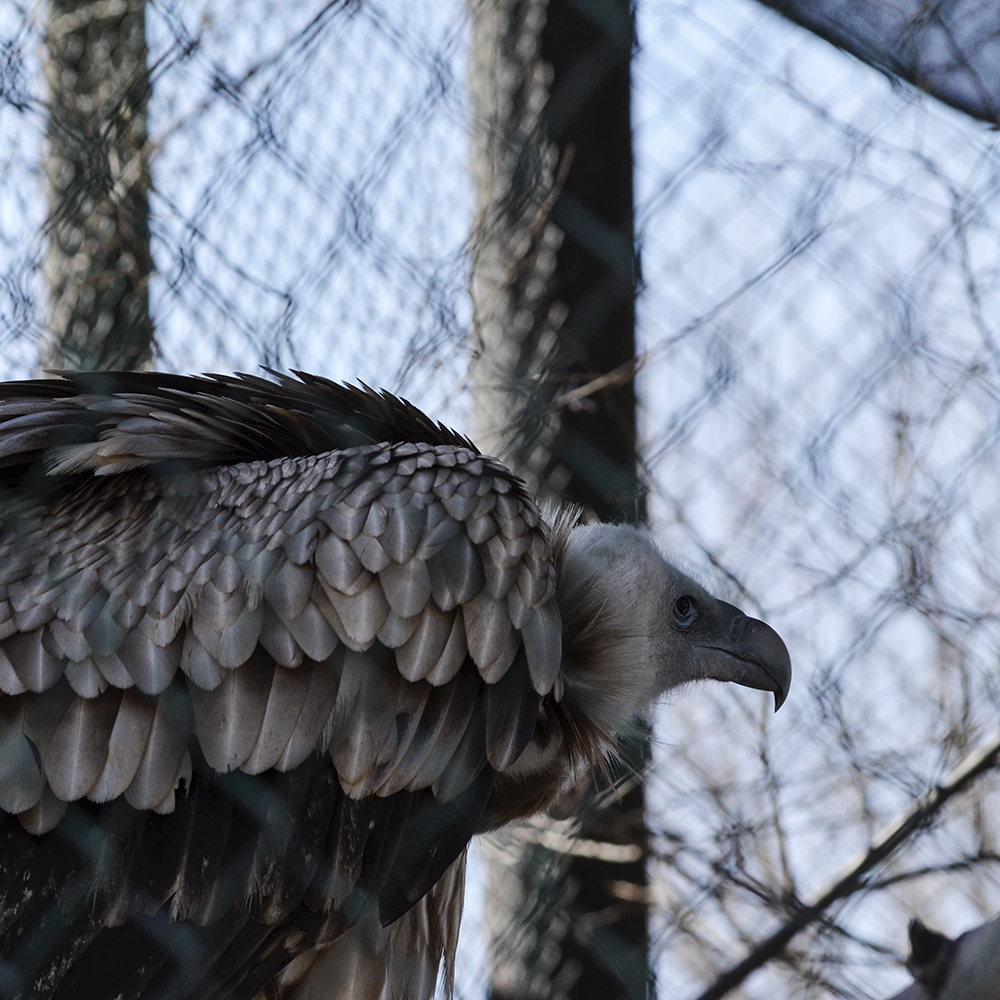 2015��2��23��̫ԭ a0651.jpg