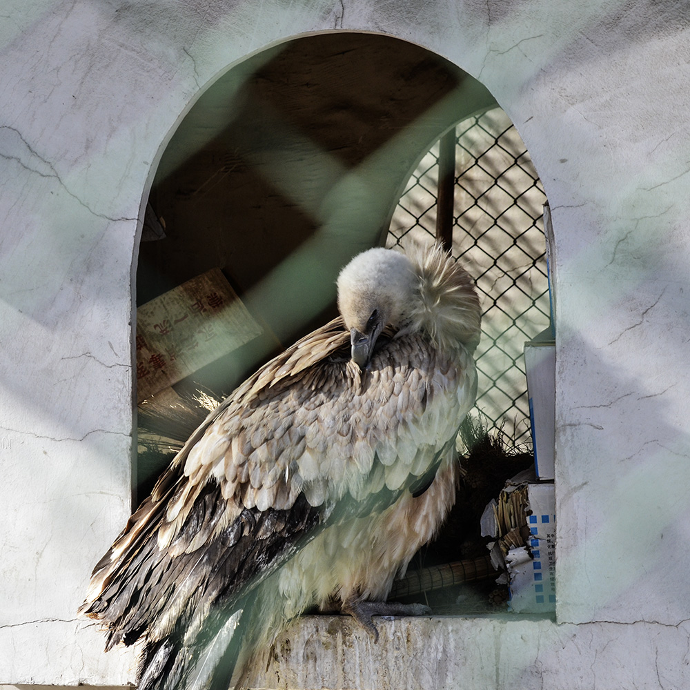 2015��2��23��̫ԭ a0681.jpg