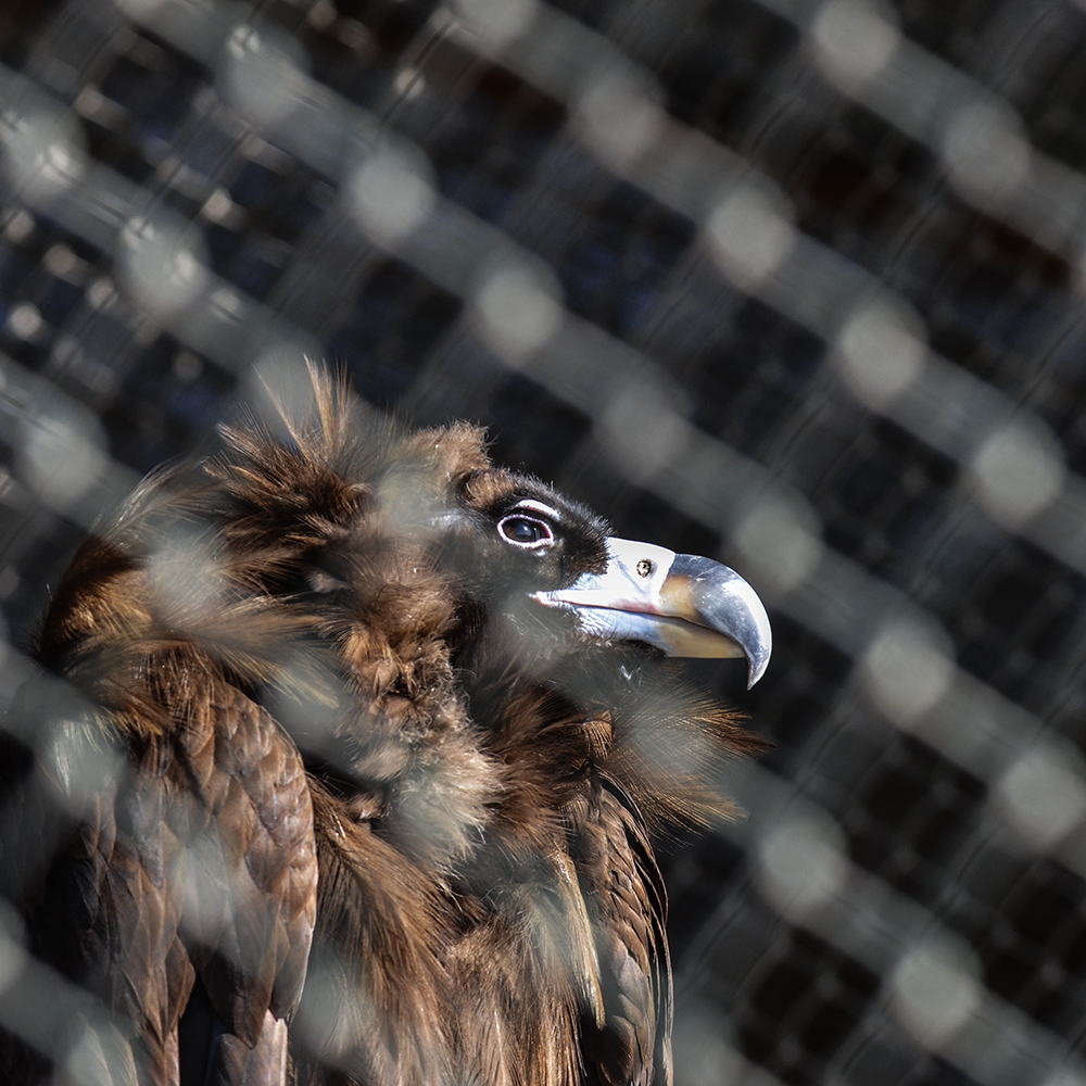 2015��2��23��̫ԭ a0711.jpg