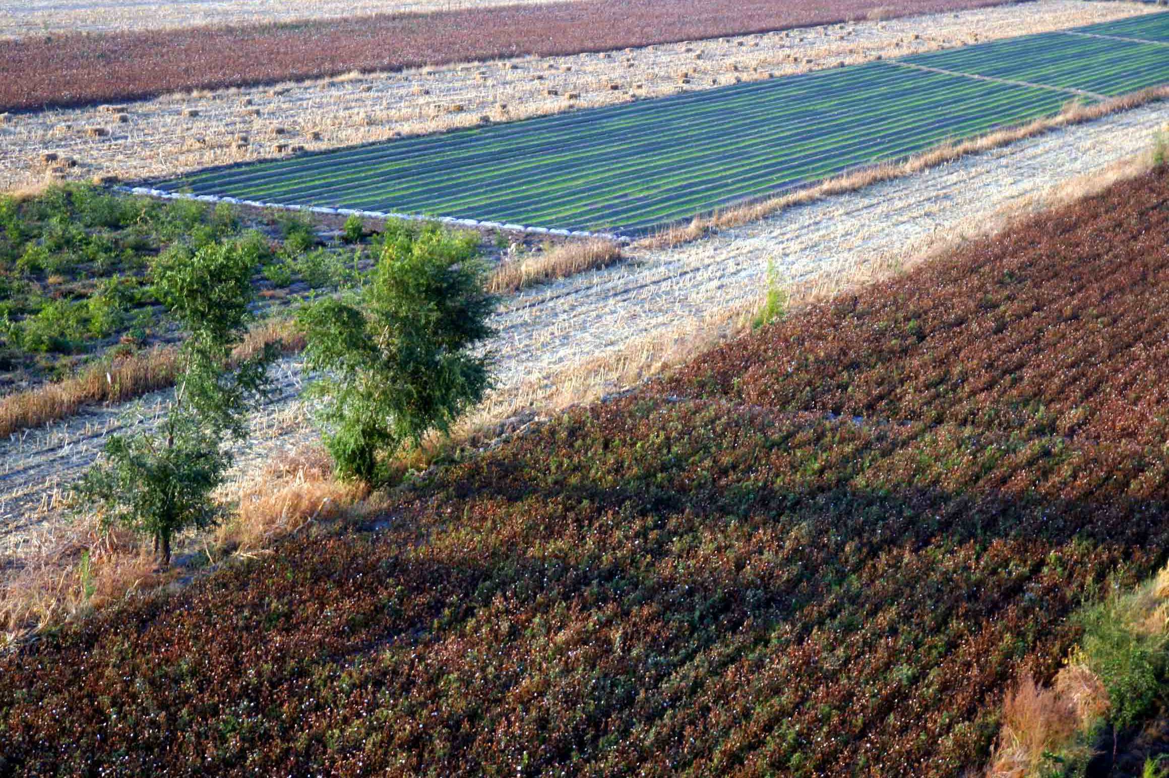 ��Ƭ 266 ����_����.jpg