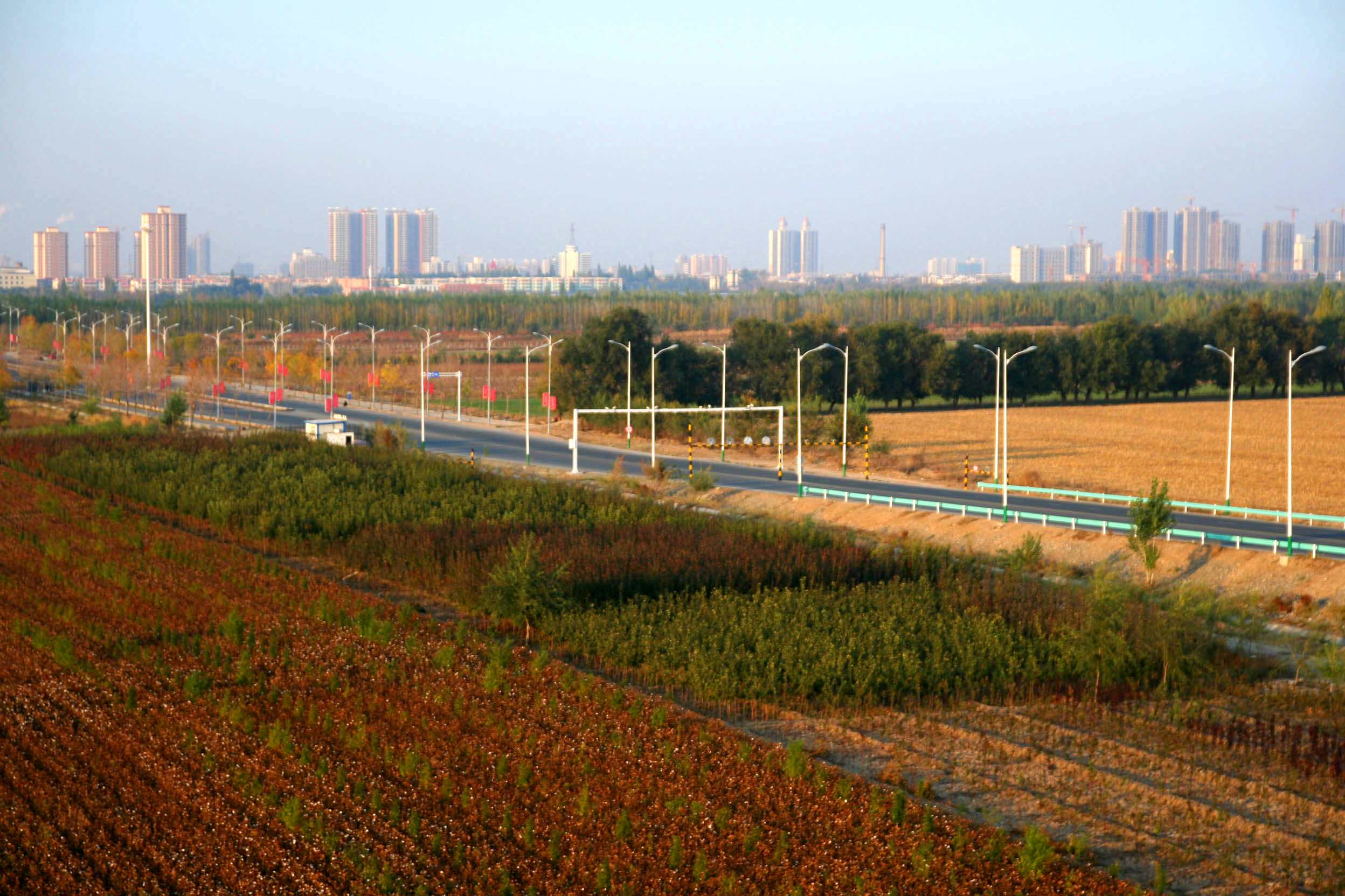 ��Ƭ 273 ����_����.jpg