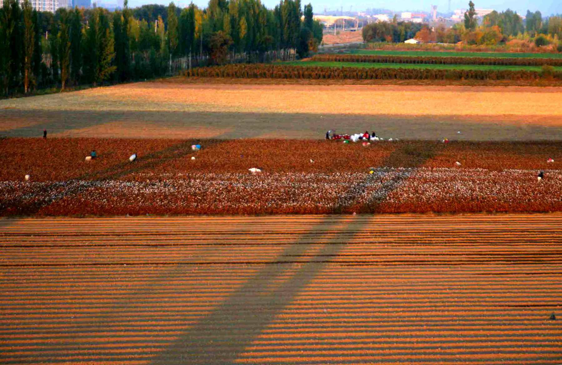 ��Ƭ 280 ����_����_����.jpg