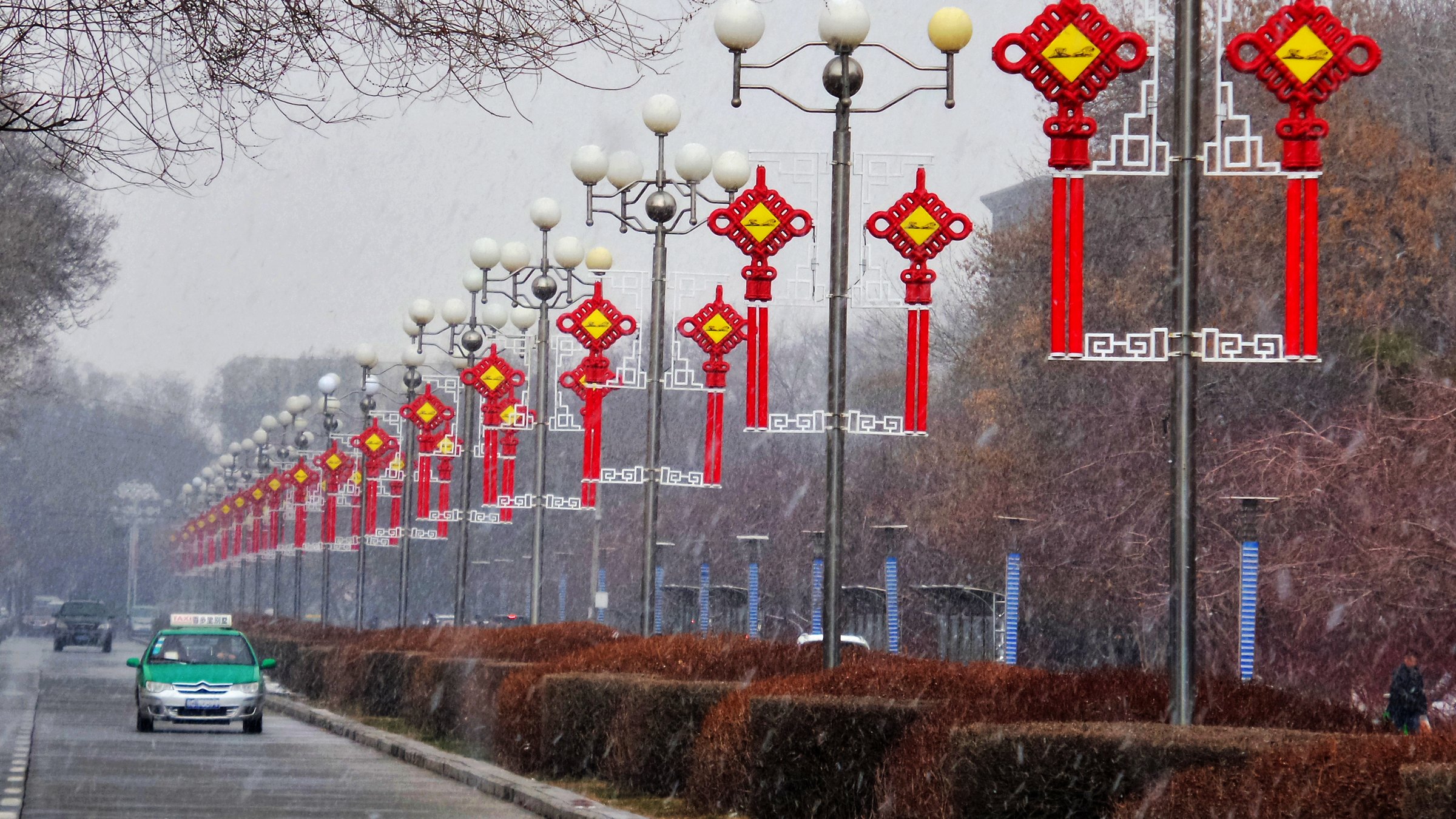 ��ѩӭ�� (1).jpg