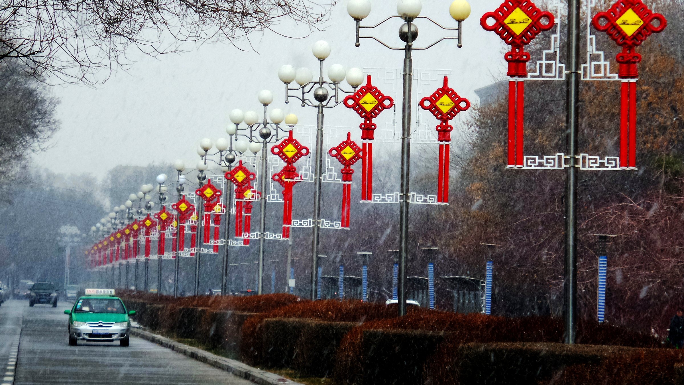 ��ѩӭ�� (2).jpg