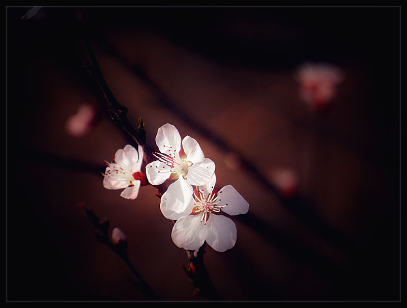 DSC04372_����.jpg