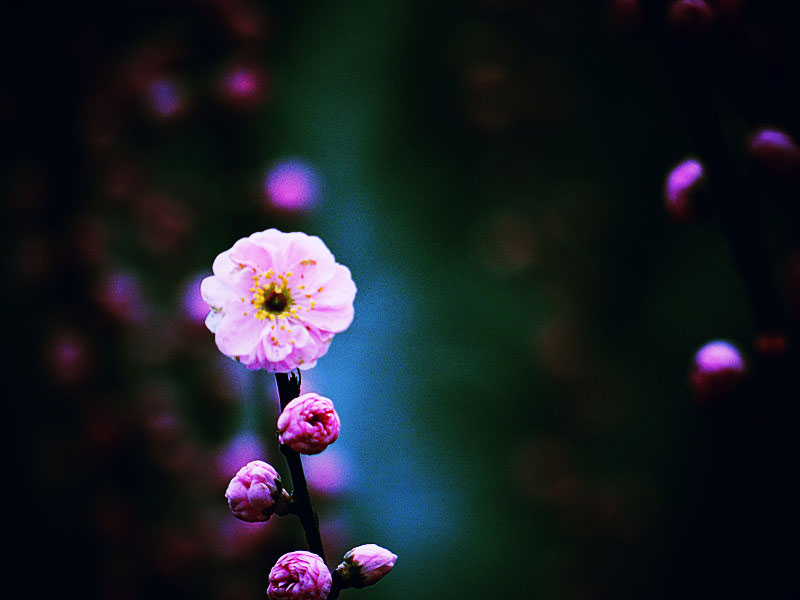 DSC04400_����.jpg