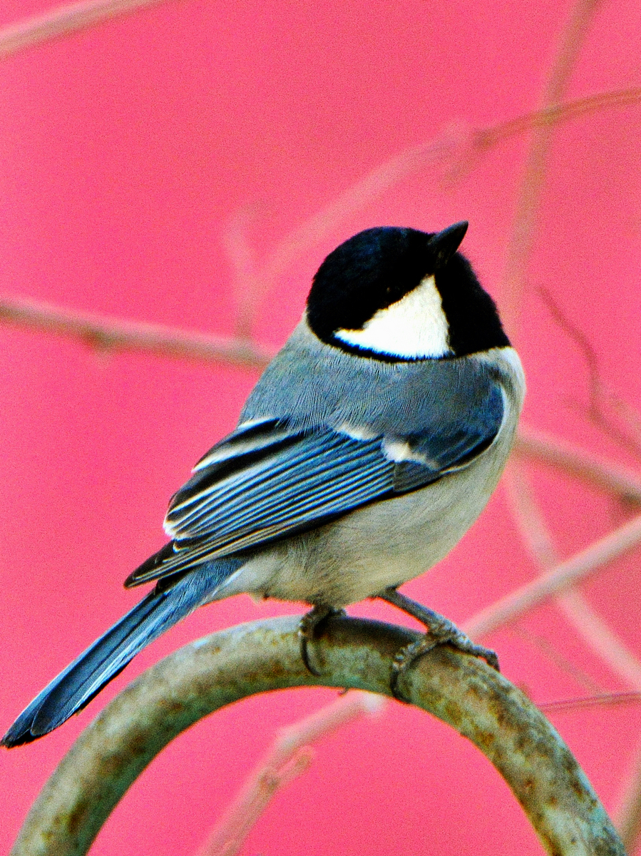 nEO_IMG_DSC_0329.jpg