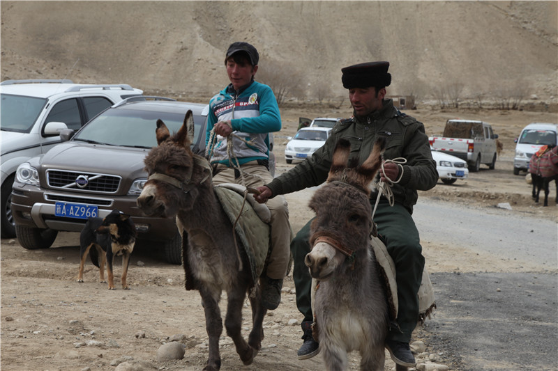 �����ԭ�ϵ�������������������18999731116 (1).JPG