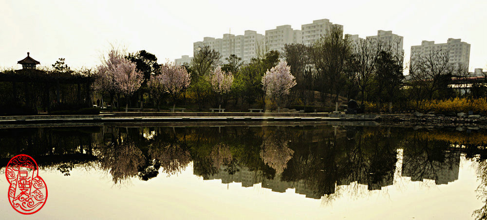 _DSC7734_����.JPG
