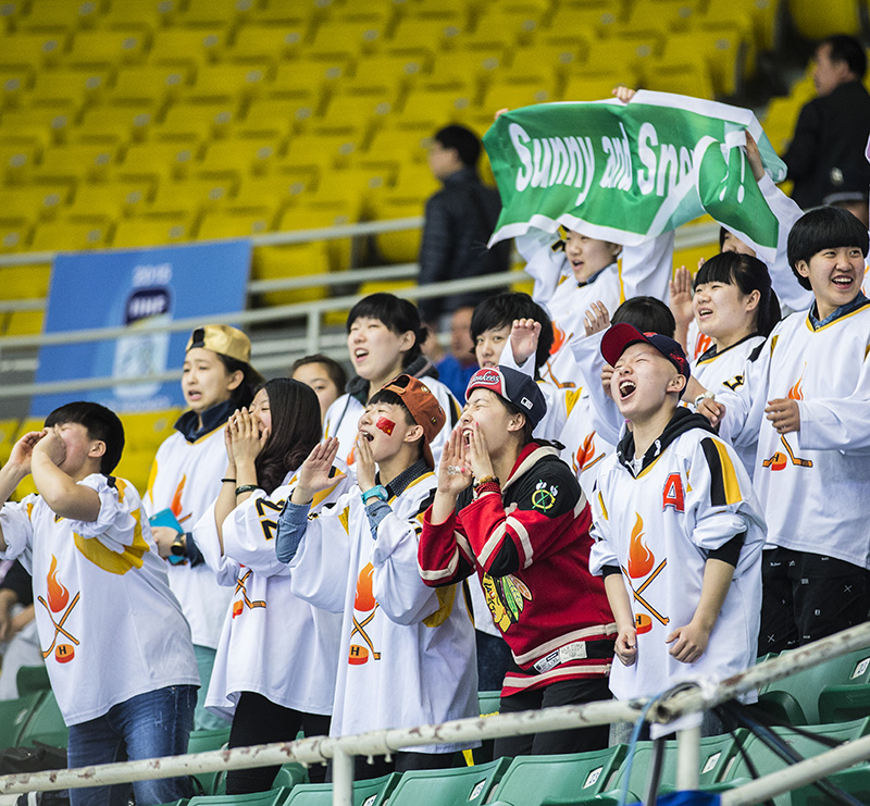 �ź�����