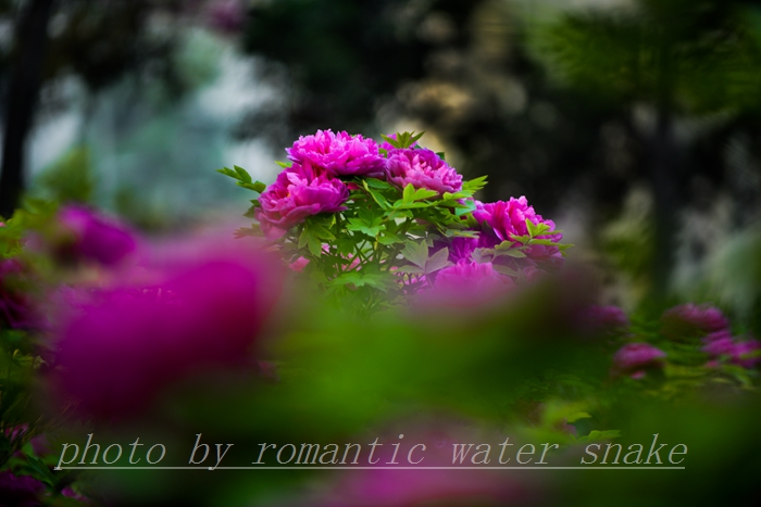 0_71842_a8e706f0bf7cbee.jpg