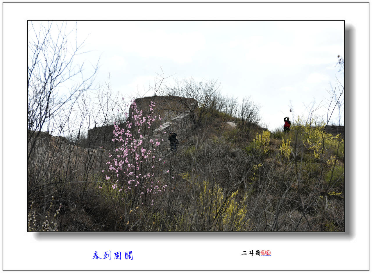 DSC_3425_����.JPG