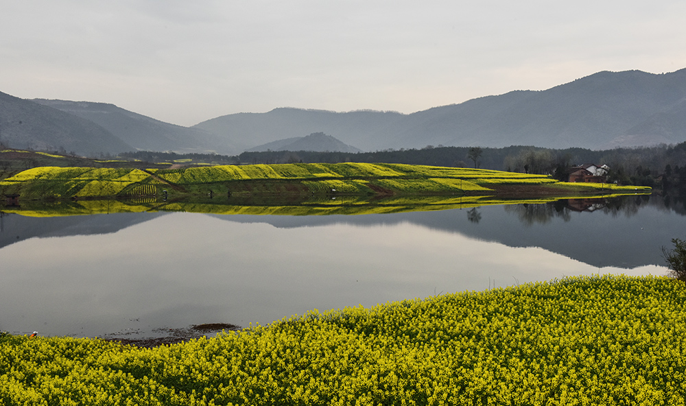 2015��3��23�պ���a 4911.jpg