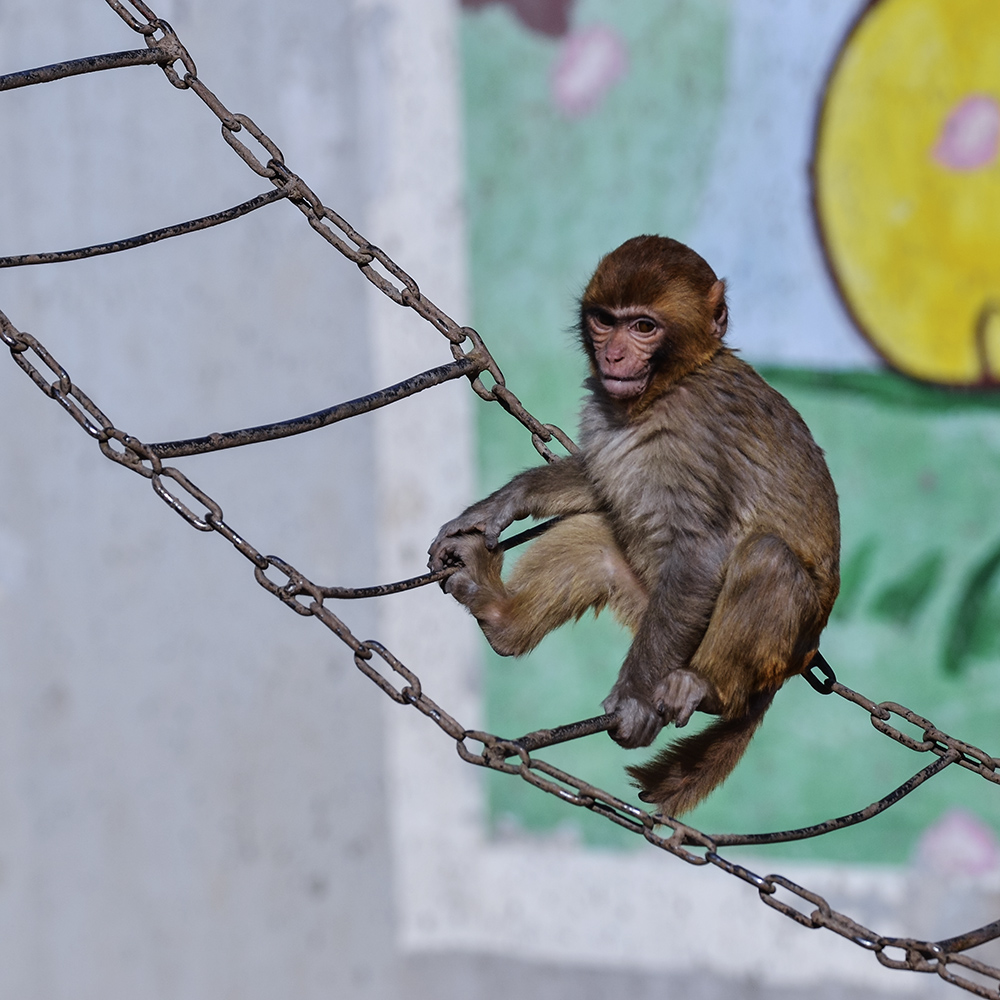 2015��2��23��̫ԭ a0941.jpg