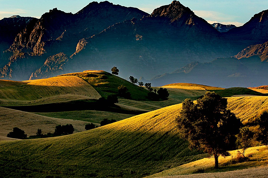 8�����㽱�����Ź�����ӡ ��һ���� ��һ���� ����������Ķ���.jpg