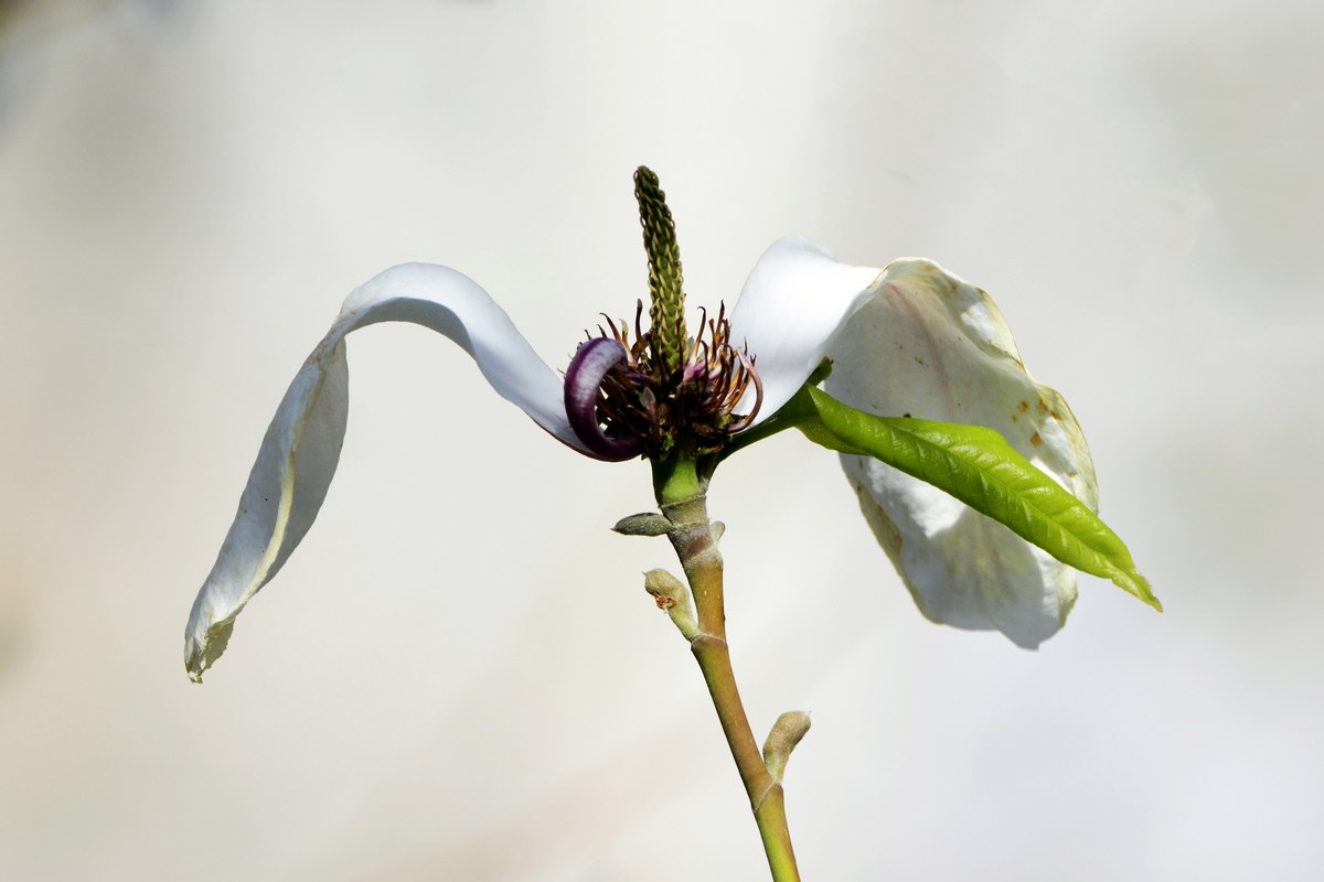 nEO_IMG__DSC0907.jpg